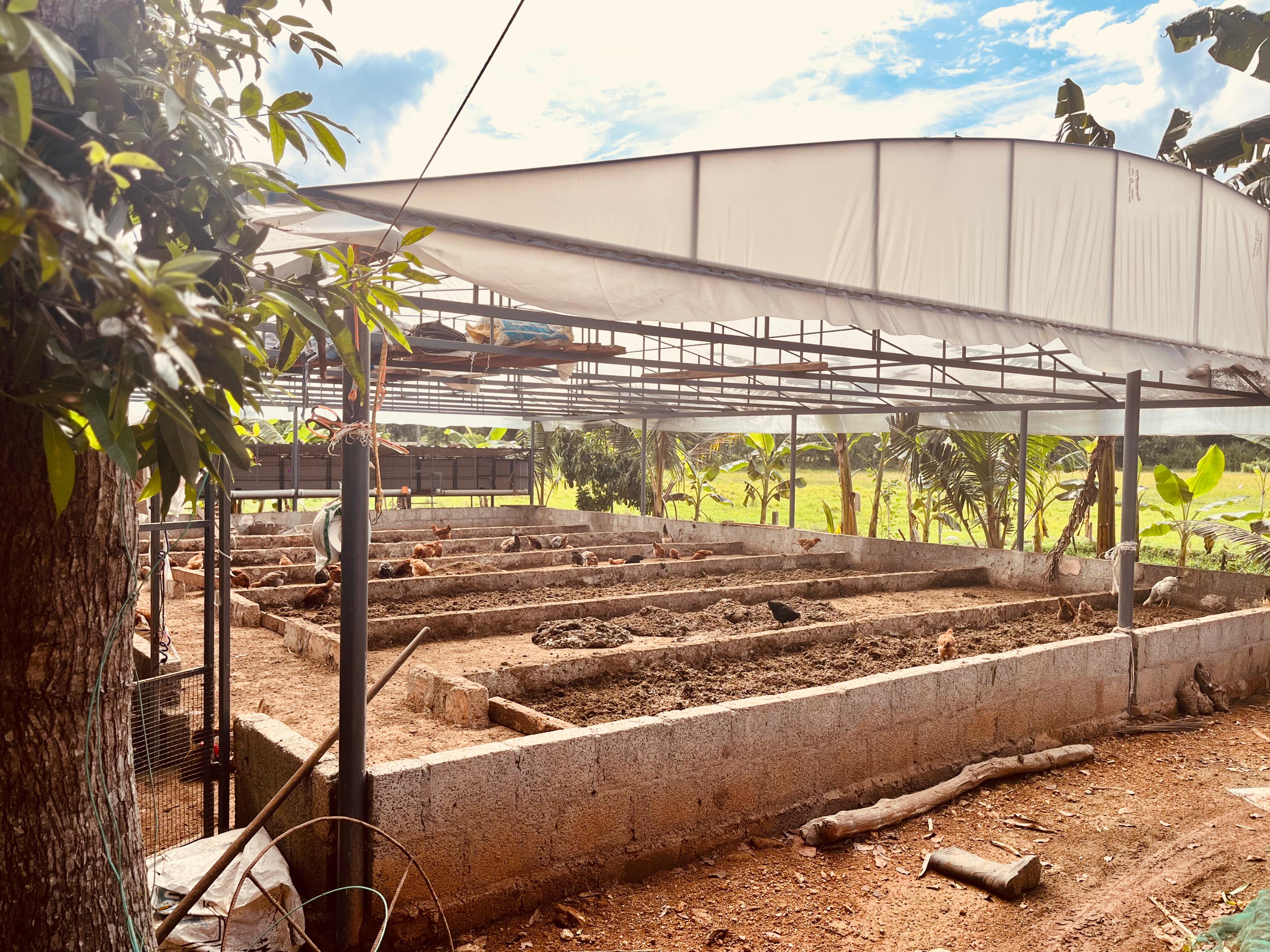 Farm