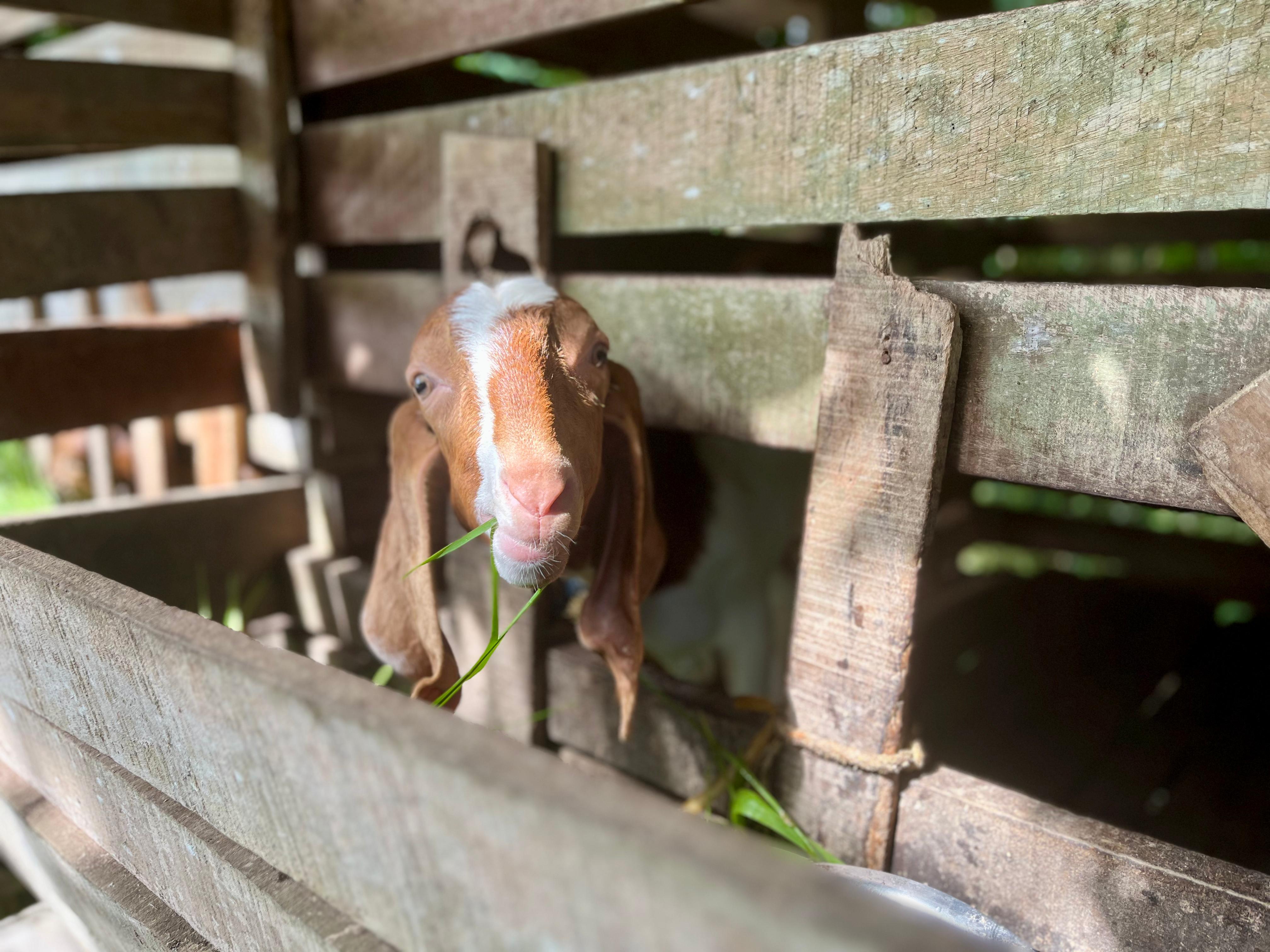 Farm Photo 2