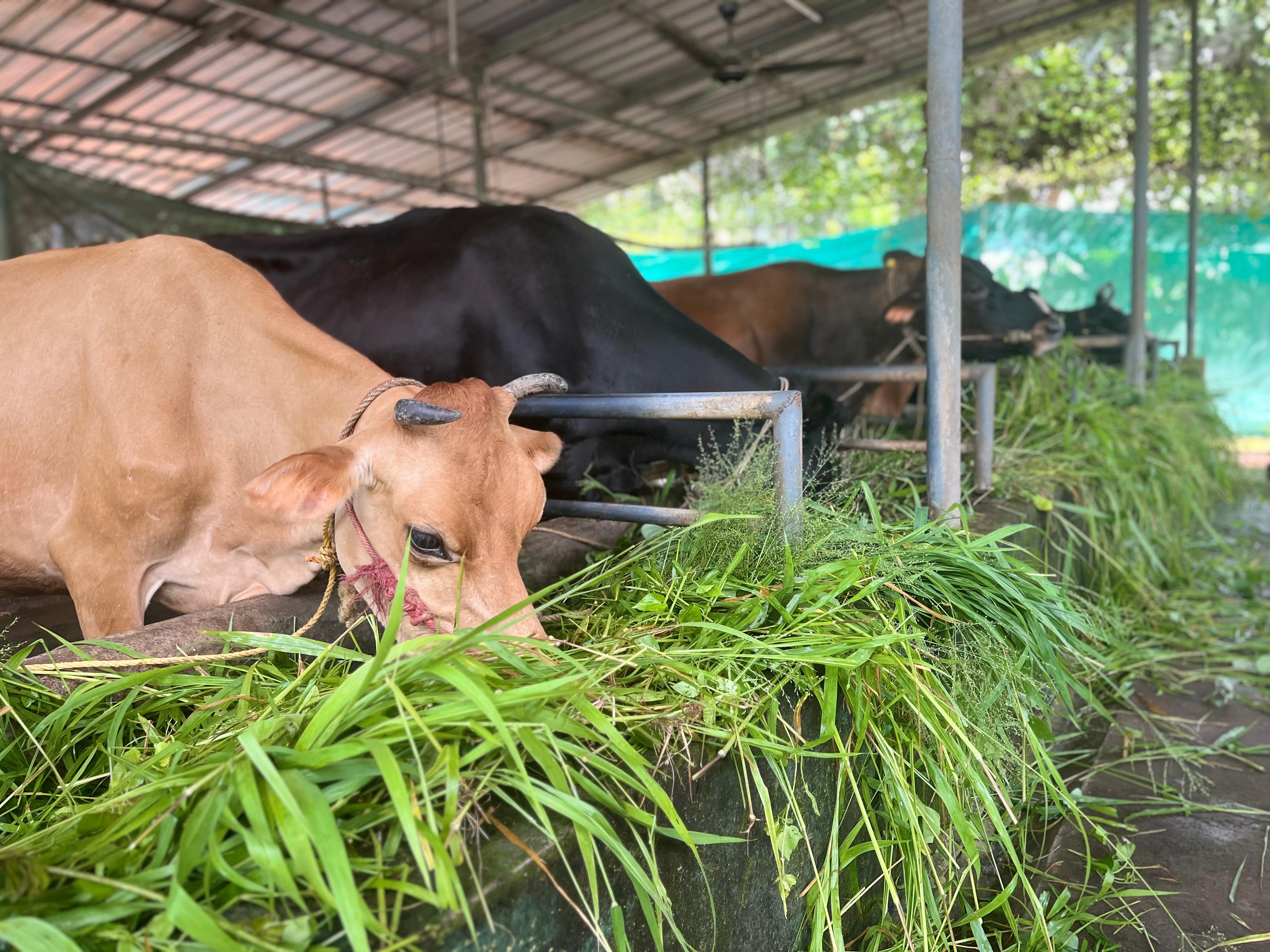 Farm Photo 7
